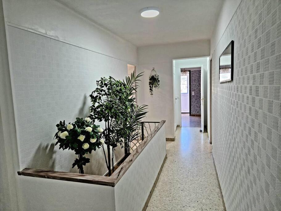 Dans Les Hauteurs Villa